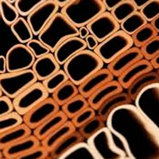 abstract image of cellulose fibres